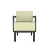 lensvelt piet boon chair 02 with armrests moss ivory 30 price level 2 black ral9005 hard leg ends