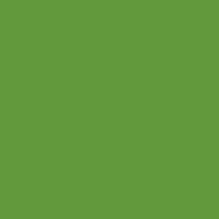 Yellow Green (RAL 6018)