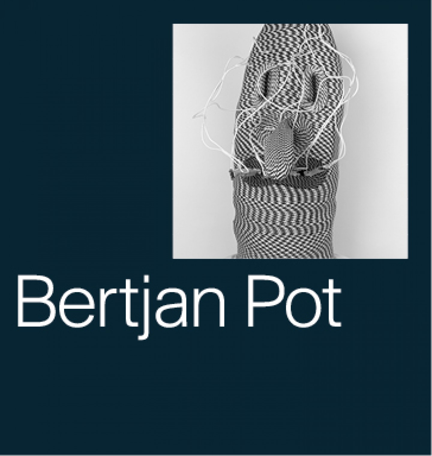 Bertjan Pot 